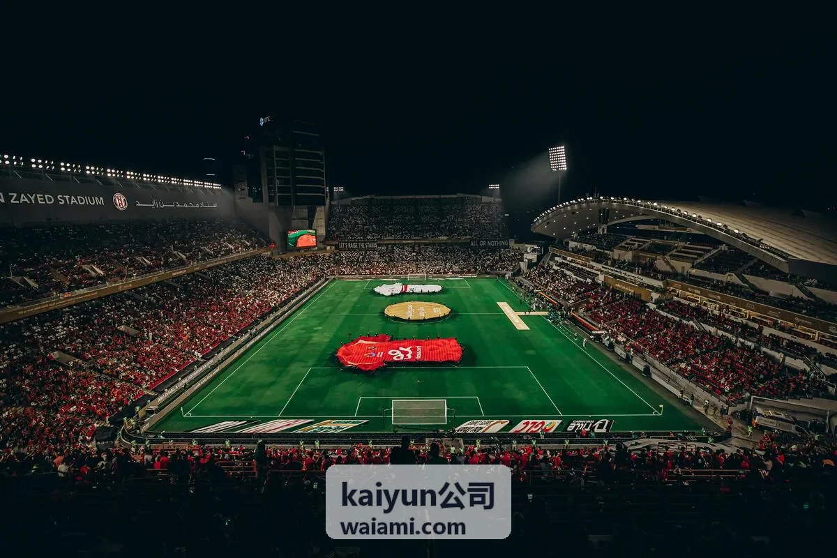 kaiyun公司企业数字化服务背景