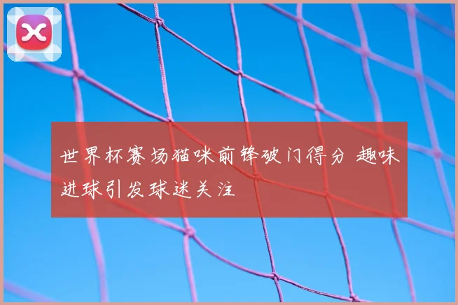 世界杯赛场猫咪前锋破门得分 趣味进球引发球迷关注