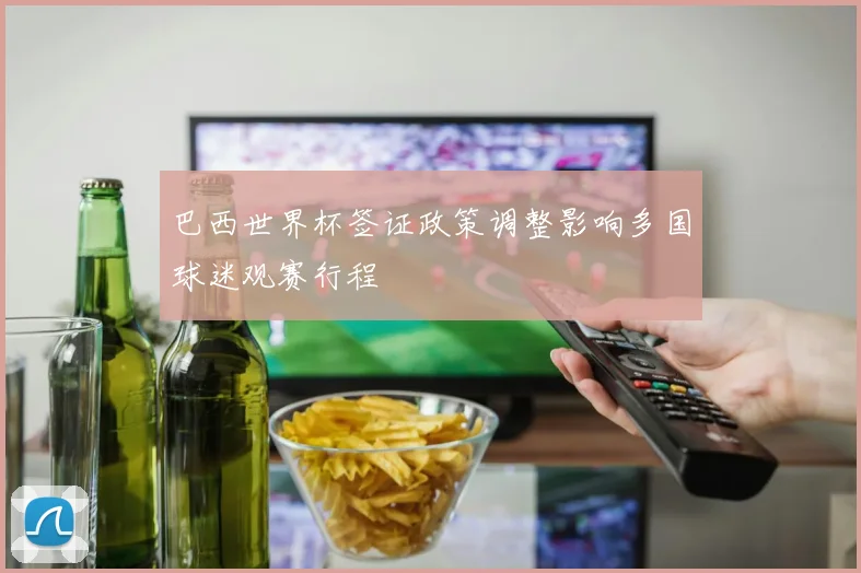 巴西世界杯签证政策调整影响多国球迷观赛行程