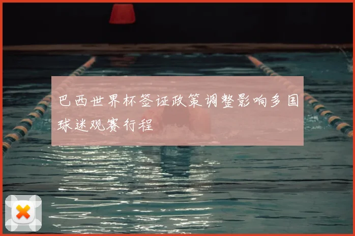 巴西世界杯签证政策调整影响多国球迷观赛行程