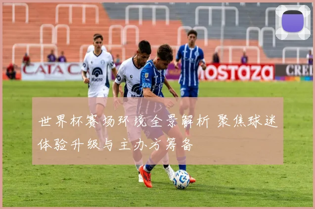 世界杯赛场环境全景解析 聚焦球迷体验升级与主办方筹备