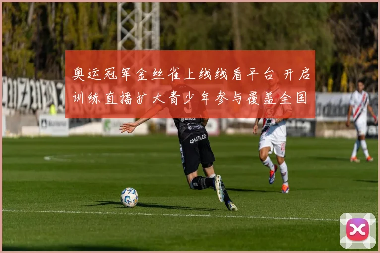 奥运冠军金丝雀上线线看平台 开启训练直播扩大青少年参与覆盖全国