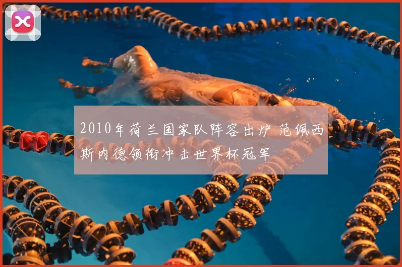 2010年荷兰国家队阵容出炉 范佩西斯内德领衔冲击世界杯冠军