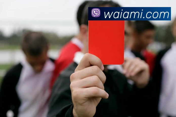 App Interface Preview